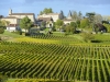 14 st-emilion-vineyards